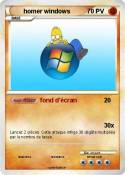 homer windows