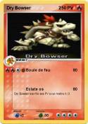 Dry Bowser 2