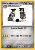 chiens prisonniers chiens