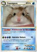 Tropmignon