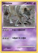 labrachow