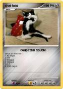chat fatal