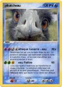 pikatcheau 