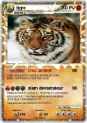 tigre tigre