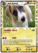 Jack Russel