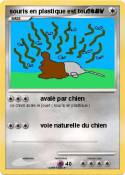 souris en