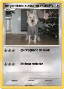 berger blanc suisse en t-shirt berger blanc