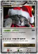 chaton ex