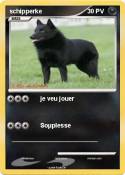 schipperke