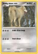 husky blanc mix