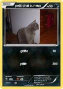 petit chat