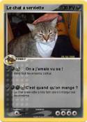 Le chat a
