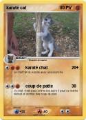 karaté cat