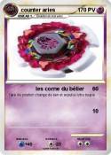 counter aries
