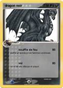 dragon noir
