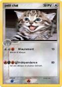 petit chat
