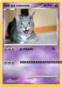 chat qui ronronne chat qui
