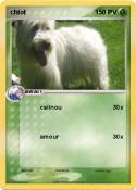 chiot