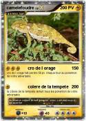 camelefoudre
