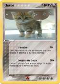 chaton 