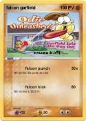 falcon garfield