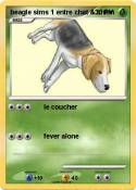 beagle sims 1