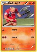 HAALAND
