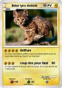 Bébé lynx