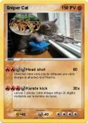 Sniper Cat