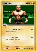 triple h fan