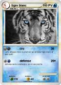tigre blanc