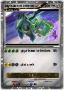 rayquaza et