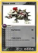 bowser skelet