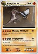 Kung Fu Chat