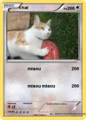 chat chat