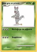 loup gris en