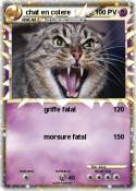 chat en colere