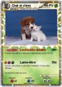 Chat et chien Chat et chien