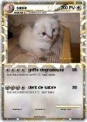 sasie