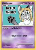 chat bengal