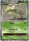 chatrocanne