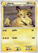 pikacat