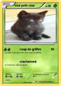 tout petit chat