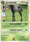 POULAIN NOIR