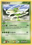 Insecateur Insecateur