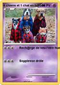 4 chiens et 1