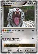 tigre blanc