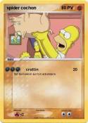 spider cochon