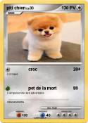piti chien