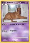 dogue du